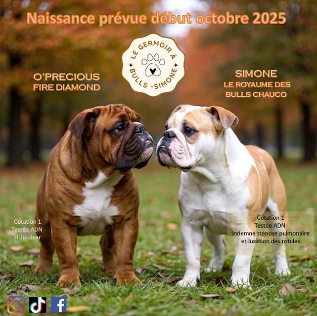 Naissances prévues début Octobre 2025